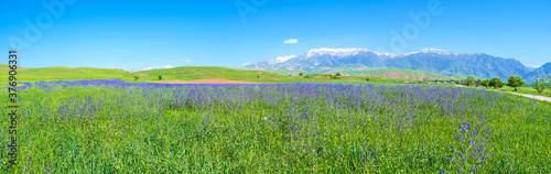 The nature of Qashqadaryo Region, Uzbekistan photo