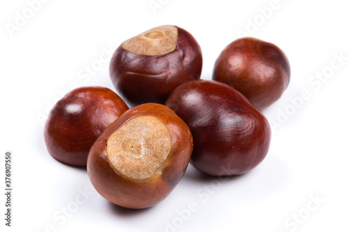 Autumn - Fresh chestnut fruits, Castanea, Horse-chestnut (Aesculus hippocastanum), close up photo