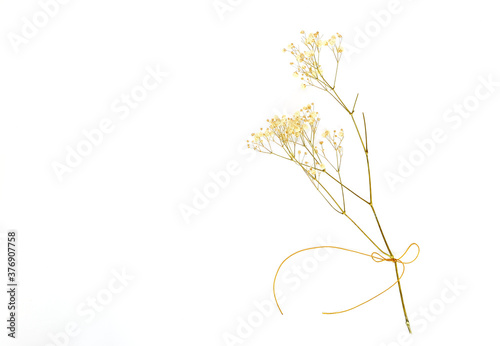 Bouquet of dried flowers tied with rope on a white background.