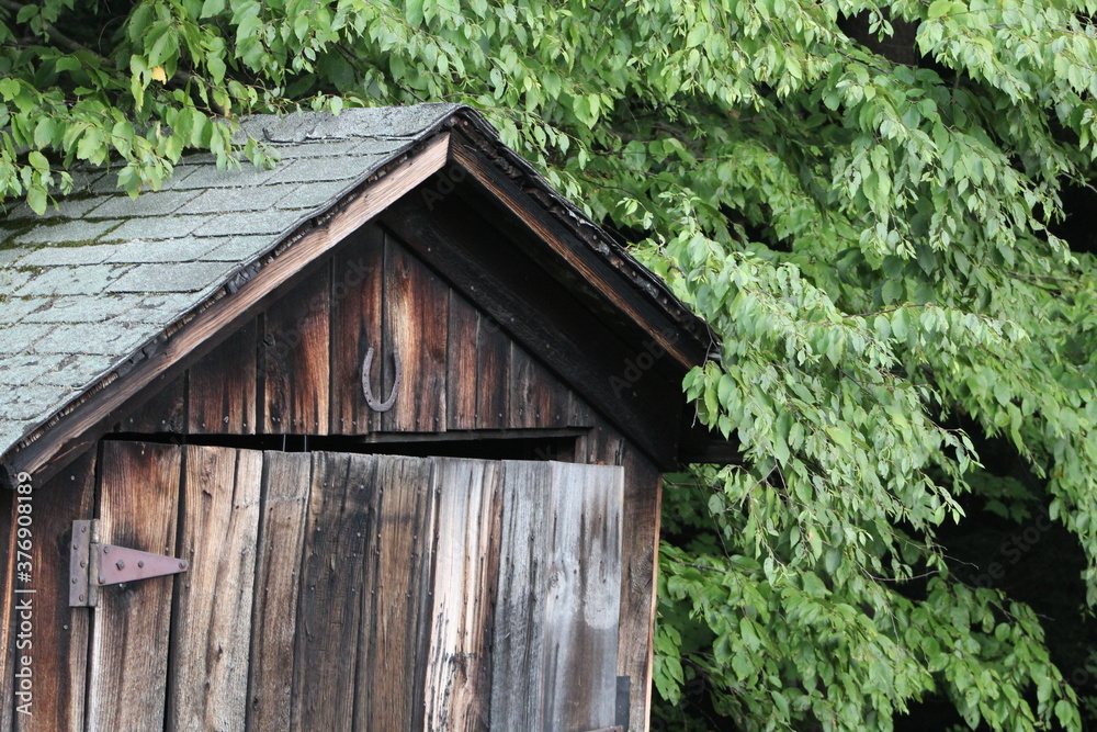 old wooden shed in forest old wooden shed in forest