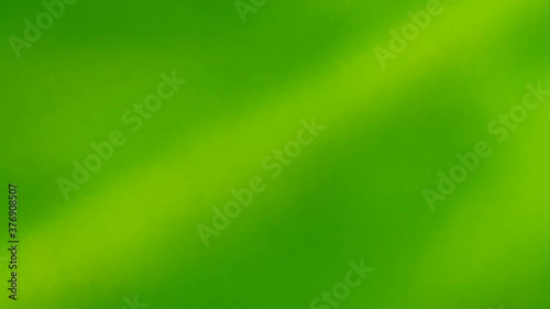 a green natural background