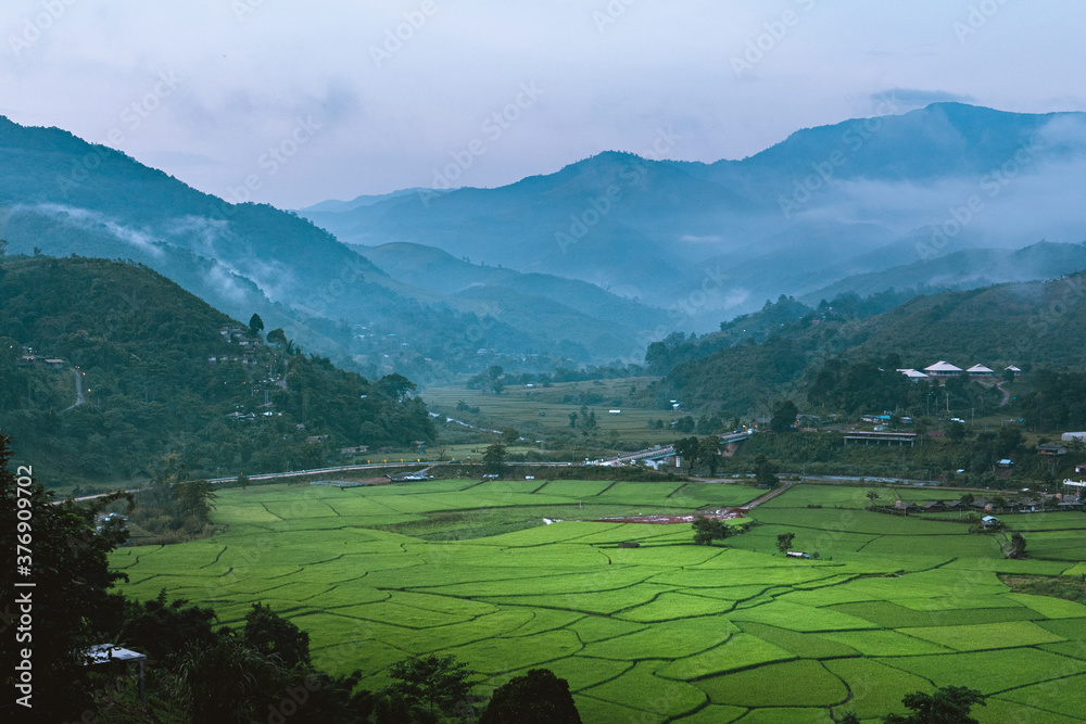 Mountains and green rice fields in the evening