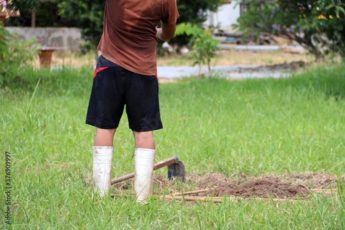 Prepare to plant a tree