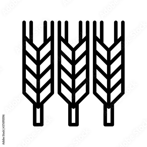 administrative related wheat seeds vector in lineal style,