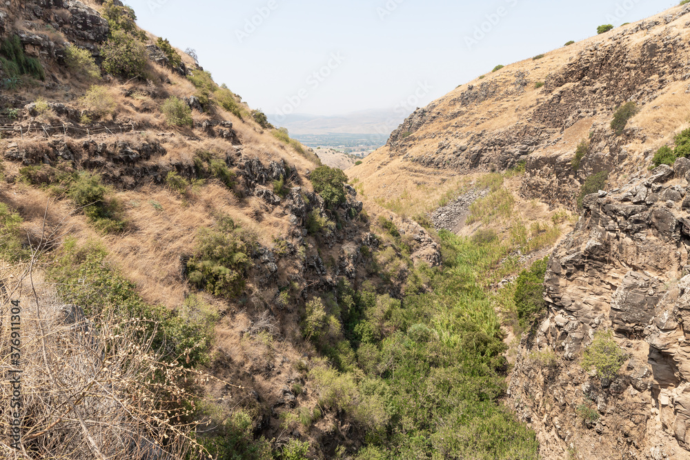 Hills overgrown with  dry grass and small trees in the Golan Heights in northern Israel