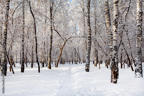 Winter Nature Landscape © Sabphoto