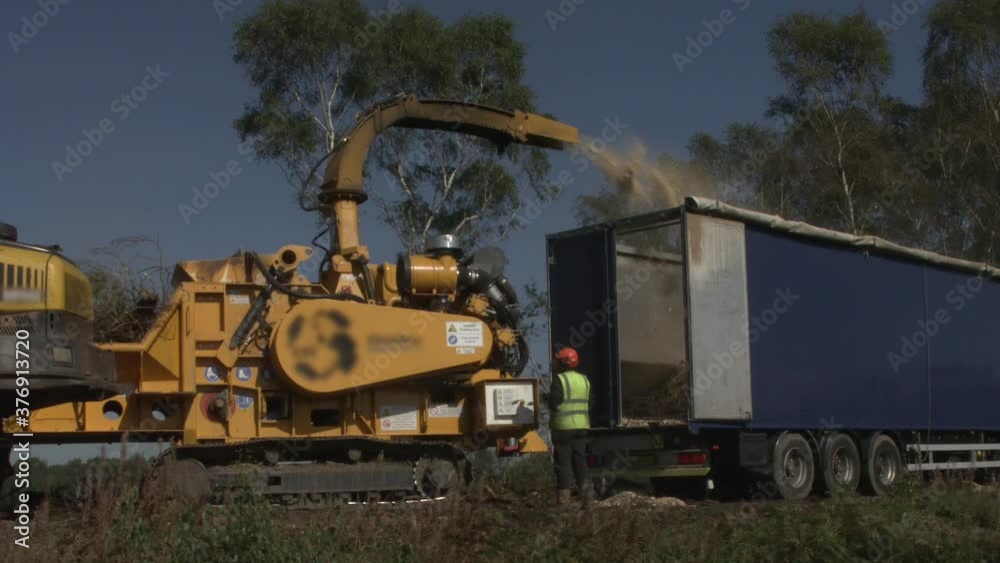 Industrial logging clearing a planet forest for native wildlife protection Industrial logging clearing a planet forest for native wildlife protection