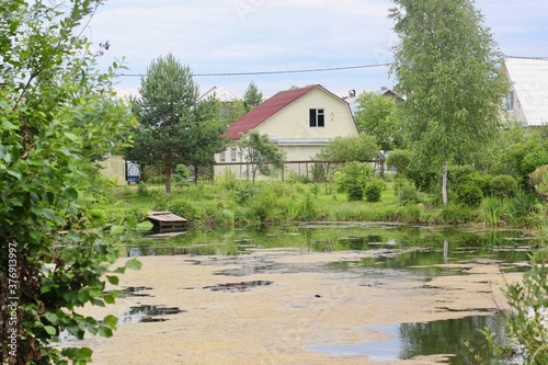 Pond in the suburban village.