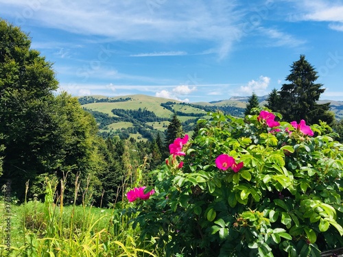 Cima Grappa