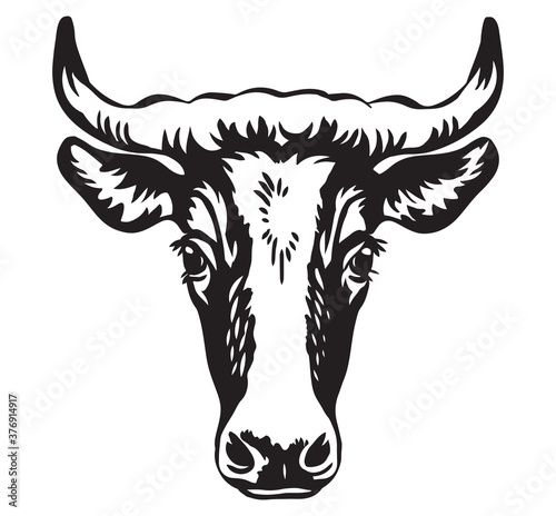 Isolated contour portrait of bull in profile