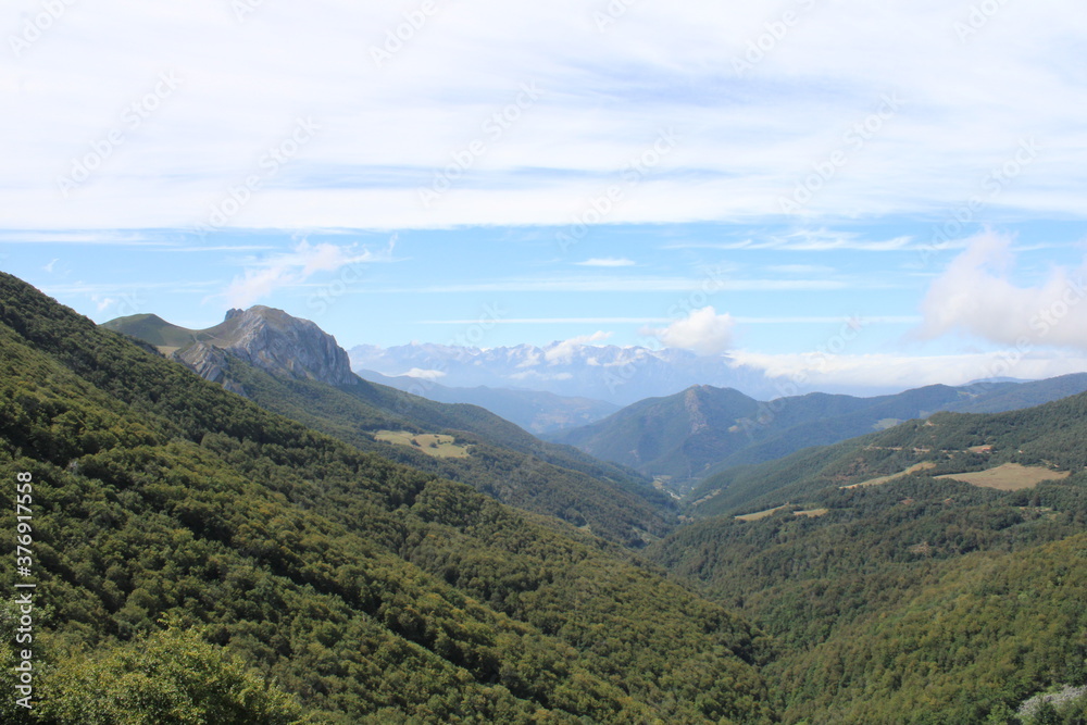 Nature in Cantabria, Spain (Picos de Europa)