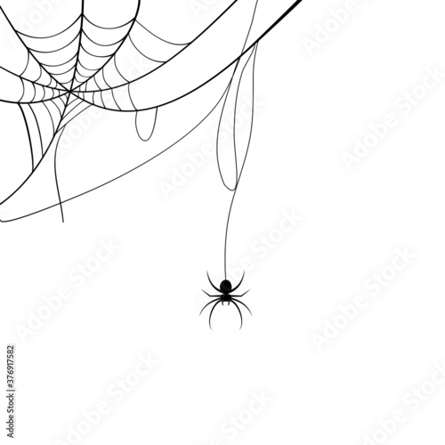 spider web and small spider. Scary spiderweb of halloween symbol