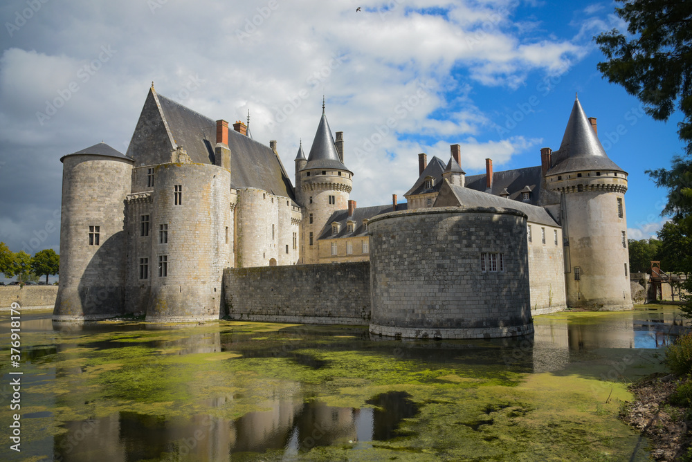 Fototapeta premium sully sur loire's castle