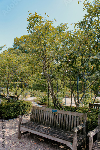 bench in the park