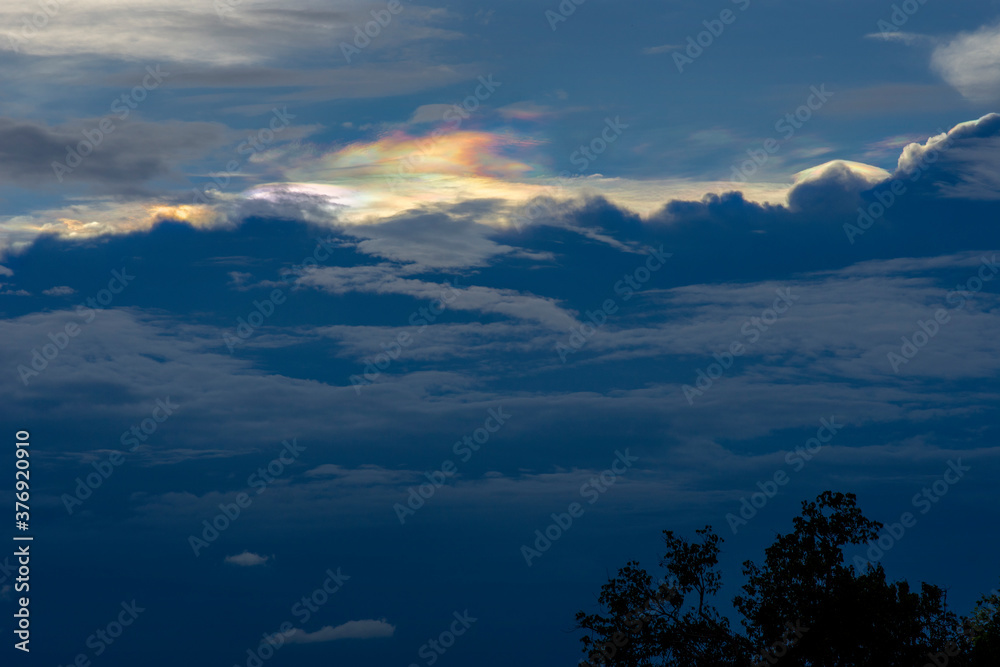 Beautiful Irisation,Rainbow Clouds,Sky Beautiful,Colorful clouds in the overcast sky,Iridescent cloud ,Iridescent Pileus,Iridescenc, foreground tree silhouette 02