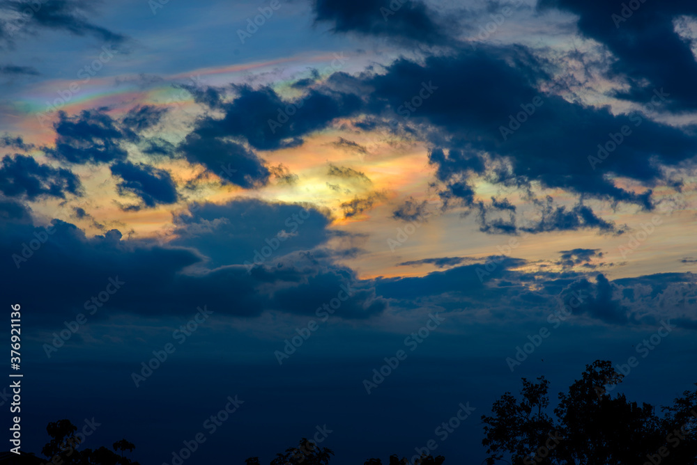 Beautiful Irisation,Rainbow Clouds,Sky Beautiful,Colorful clouds in the overcast sky,Iridescent cloud ,Iridescent Pileus,Iridescenc, foreground tree silhouette 04 Beautiful Irisation,Rainbow Clouds,Sky Beautiful,Colorful clouds in the overcast sky,Iridescent cloud ,Iridescent Pileus,Iridescenc, foreground tree silhouette 04