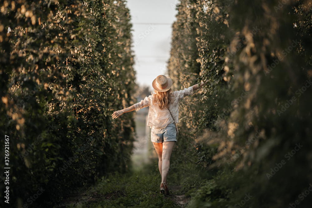 a girl in a hat runs between the rows of hops