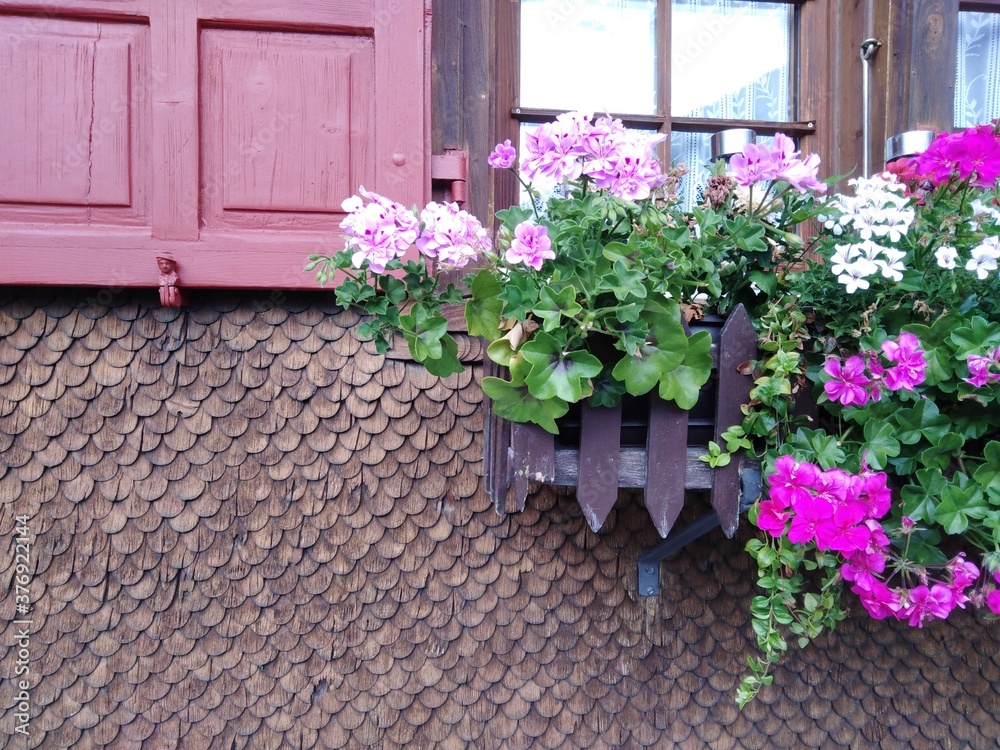mur de bardeaux avec géraniums et 1 fenêtre
Habitat rustique 