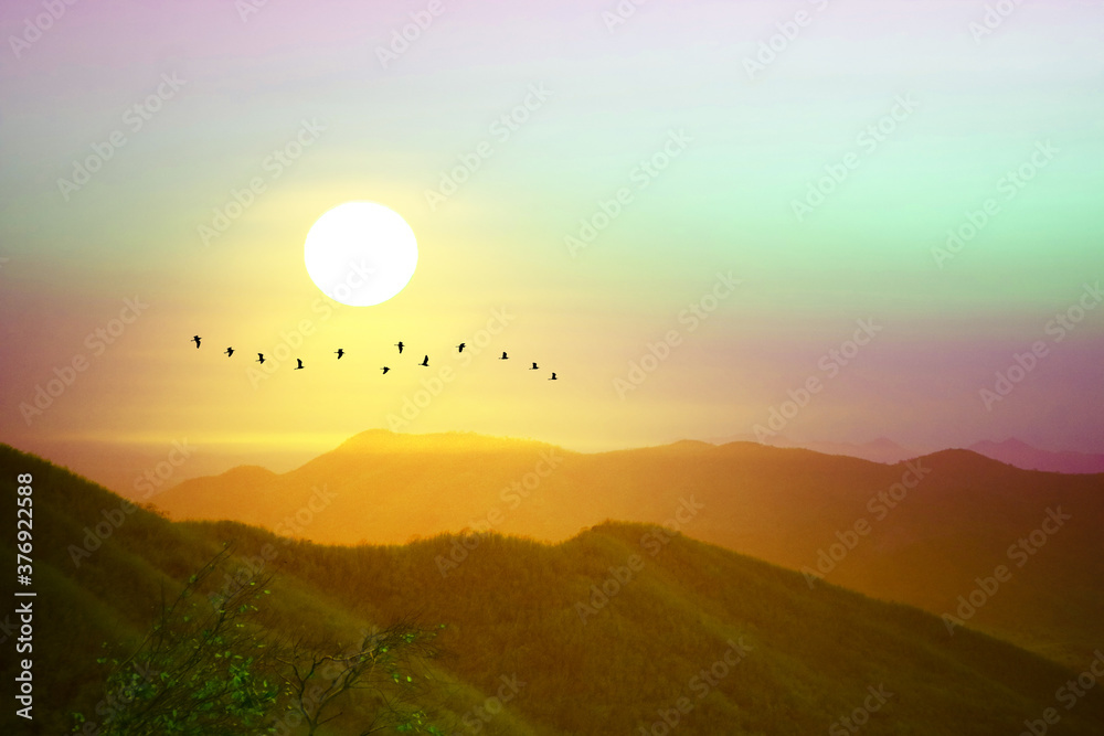 Fototapeta premium sunrise on morning colorful rainbow sky over hill and mountain and silhouette bird flying