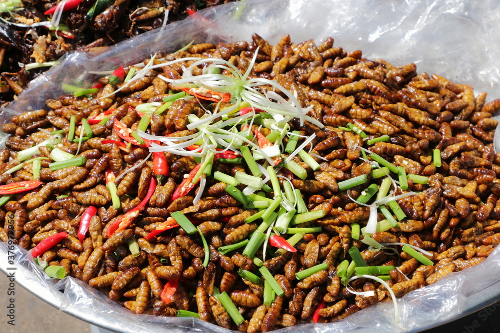 Plate of cooked worms sold in a Cambogian street market