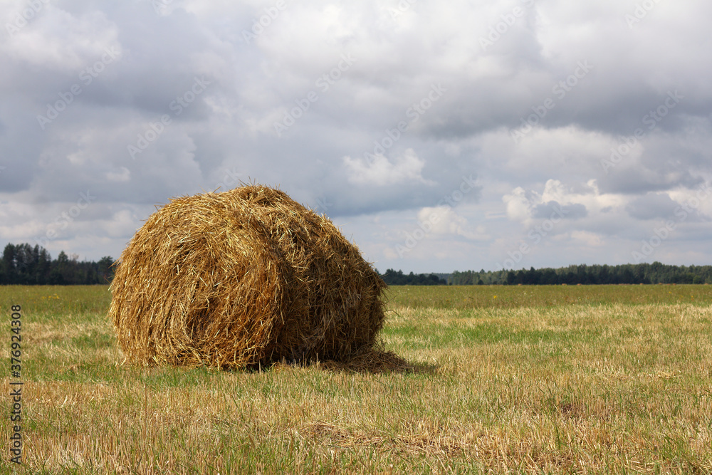 round haystack in the field. autumn serene mood round haystack in the field. autumn serene mood