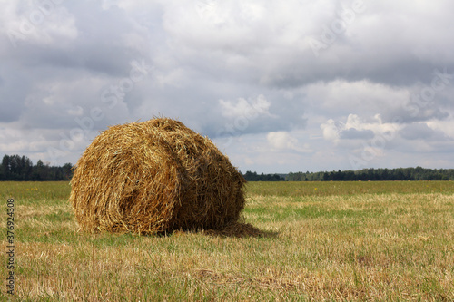 round haystack in the field. autumn serene mood