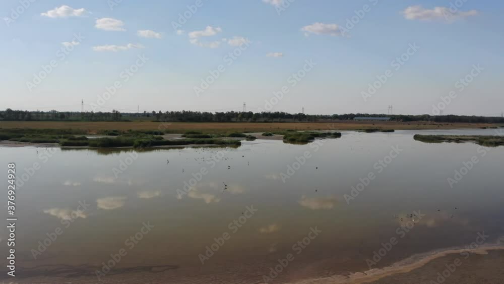 Aerial view: ducks take off from the surface of the river. Wild birds are flying away from camera on the river. Beautiful lanscape Aerial view: ducks take off from the surface of the river. Wild birds are flying away from camera on the river. Beautiful lanscape