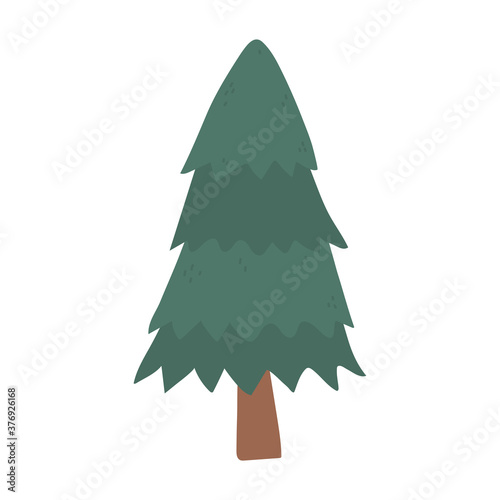 pine tree forest botanical isolated icon style