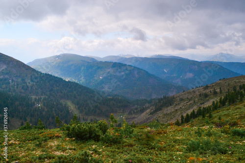 blooming green meadow with yellow white flowers among blue Baikal mountains .ridges in sun lihgt clouds