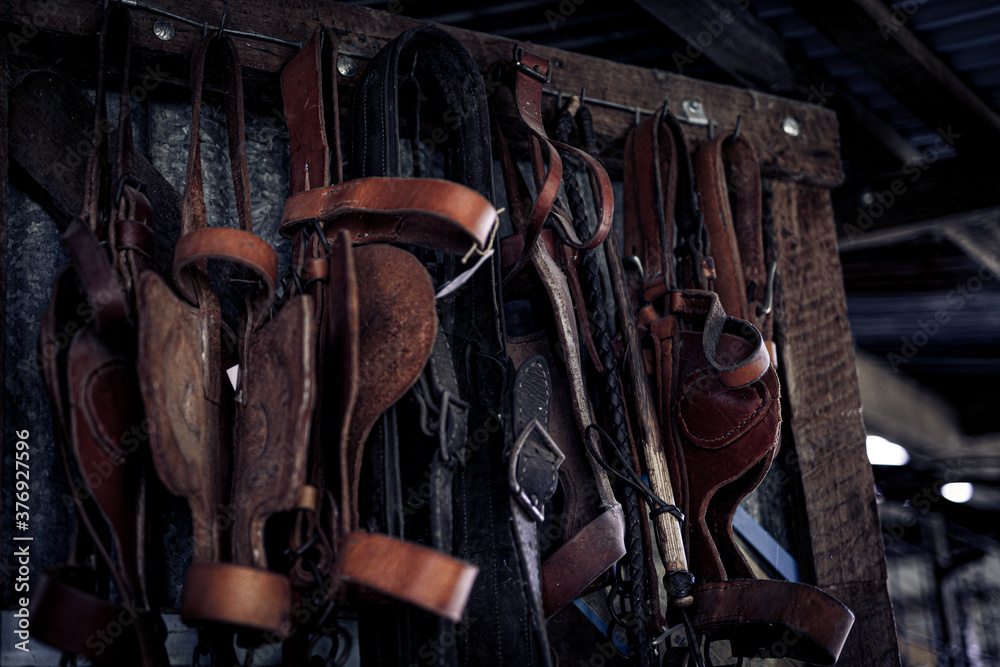 Equine Equipment in a stable