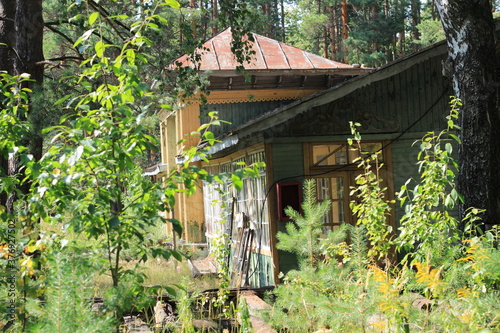 Village house. Wooden house in the forest. © Ольга Кожина