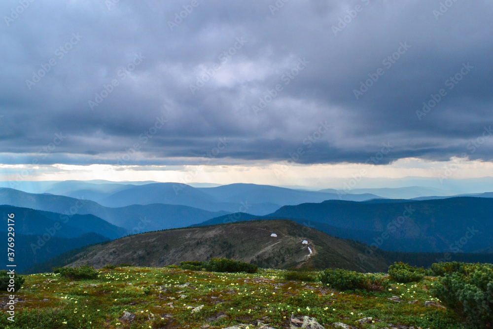 blooming green meadow with yellow white flowers in the blue Baikal mountains .ridge, clouds