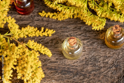 Bottles of essential oil with blooming Canadian goldenrod