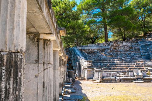 Priene was an ancient Greek city of Ionia located at the base of an escarpment of Mycale, 6 kilometres north of Maeander River, Güllübahçe, Söke, Turkey photo