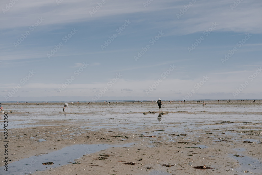  people on-foot fishing at low tide 