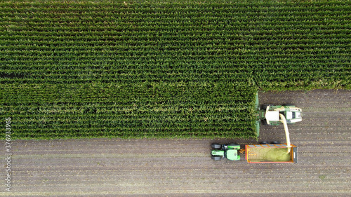 Harvesting a maize field photo