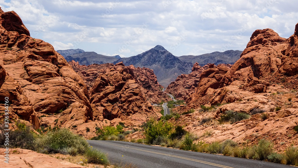 Fototapeta premium Red Rock
