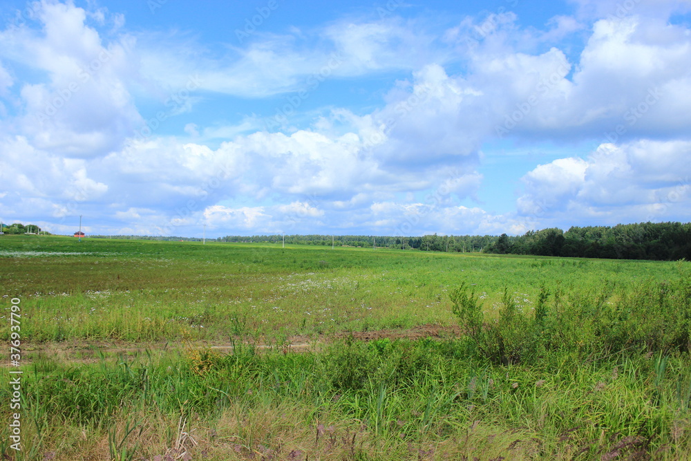 View of a large field and forest. Moscow region . Russia. View of a large field and forest. Moscow region . Russia.
