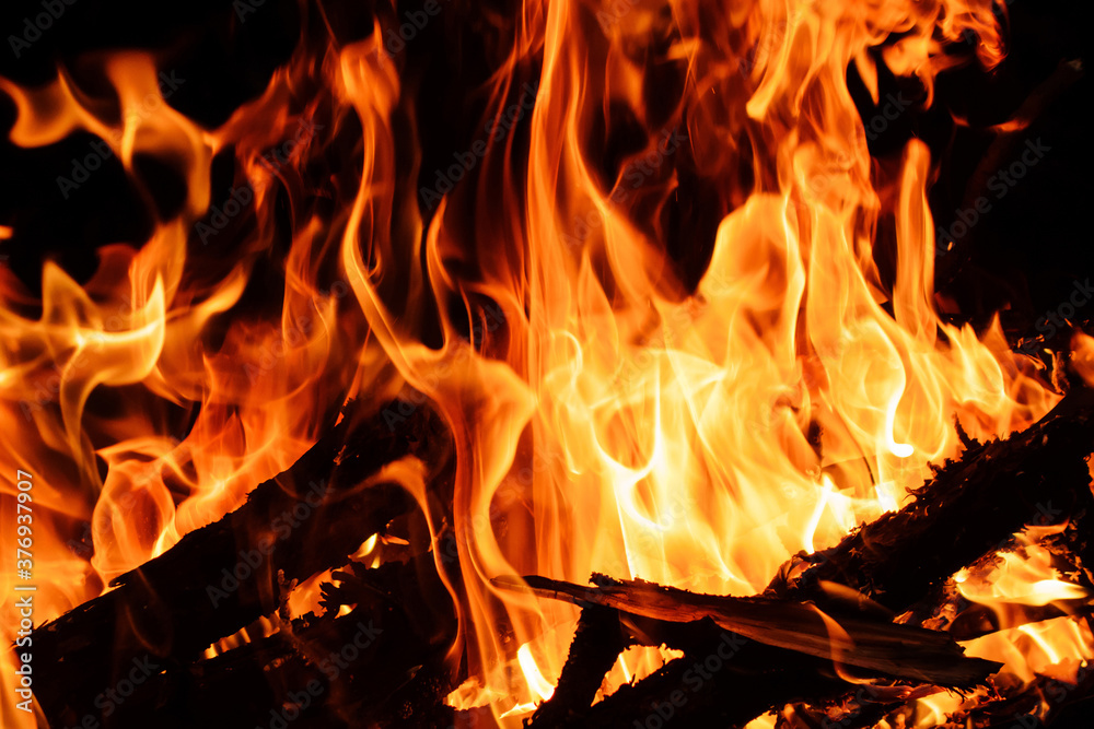Firewood is burning with bright red & yellow colours on night background Firewood is burning with bright red & yellow colours on night background