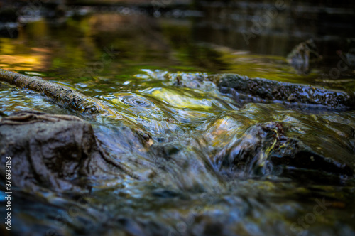 Long exposure of a rocky stream in motion. There are littered rags stuck on rocks down the stream.