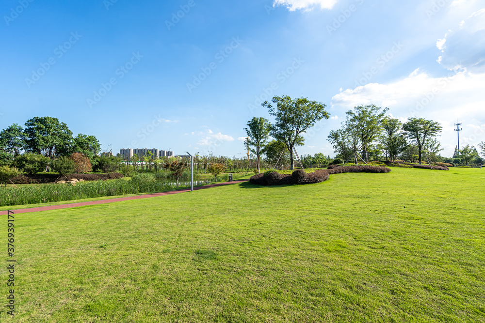 green lawn in city park