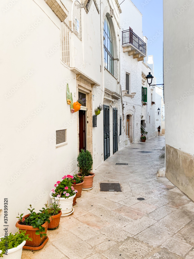 Fototapeta premium White houses in Locorotondo, Puglia