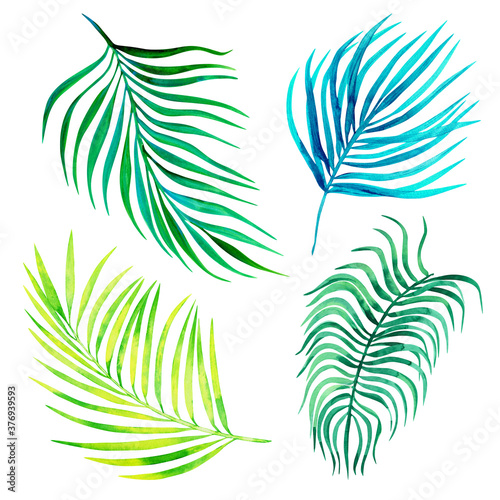 Tropical palm leaves watercolor set isolated on white background