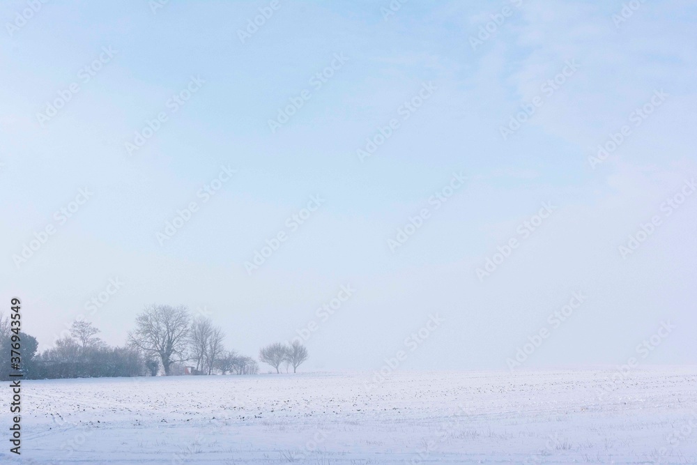 Winter Snow Fields and Farm