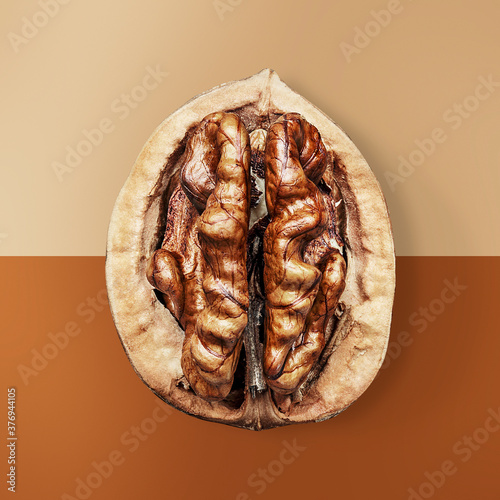 Close up of walnut