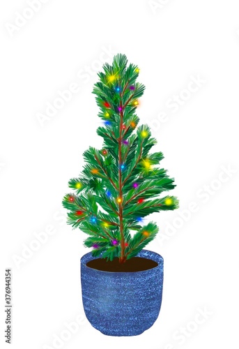 Evergreen young fir tree in pot. Potted growing Christmas plant with colorful sparkling lights. Decorated little pine in flowerpot isolated on white for your design, label, greeting card, scrapbook 