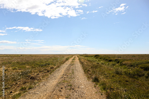 dirt road in the field