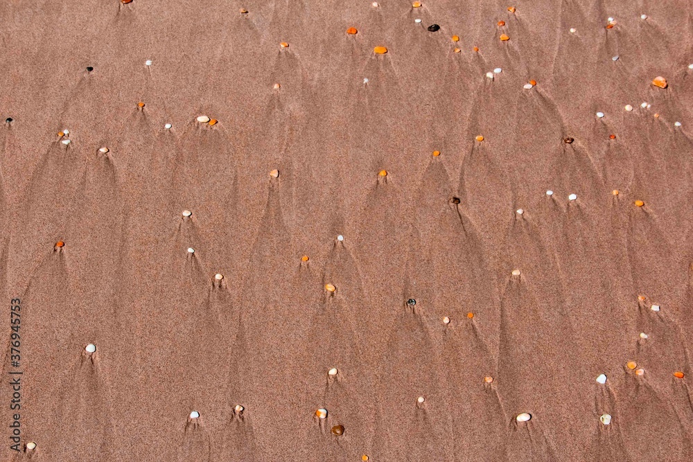 Sand Sand