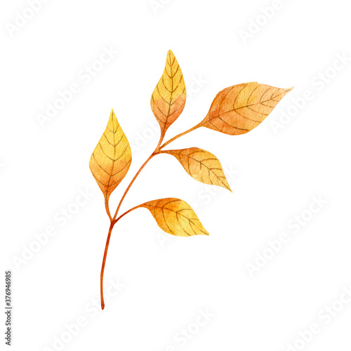 Orange autumn twig with leaves. Watercolor illustration isolated on white.