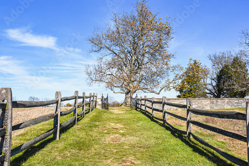 Path between split rail fences a gate and large tree